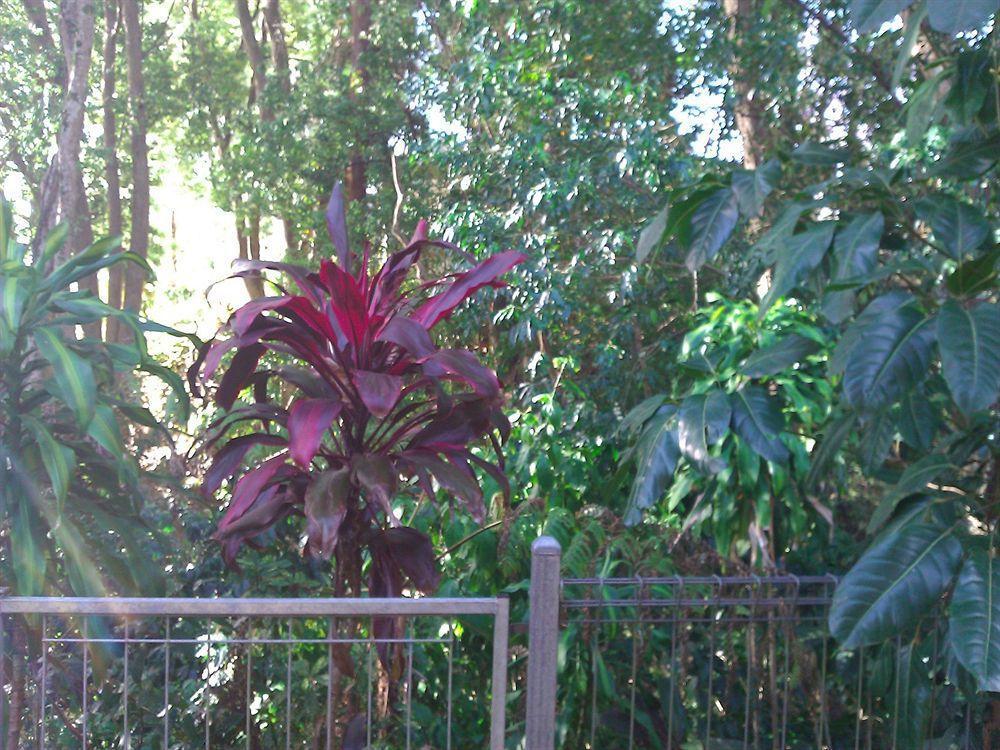 Gallery Motel Murwillumbah